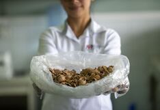 Perú fue el noveno proveedor más importante de Estados Unidos en productos agroindustriales