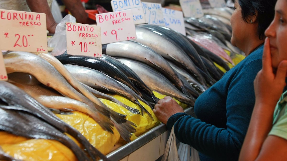 Inflación al alza: ¿qué pasará con los precios en próximos meses y ante golpe de El Niño?