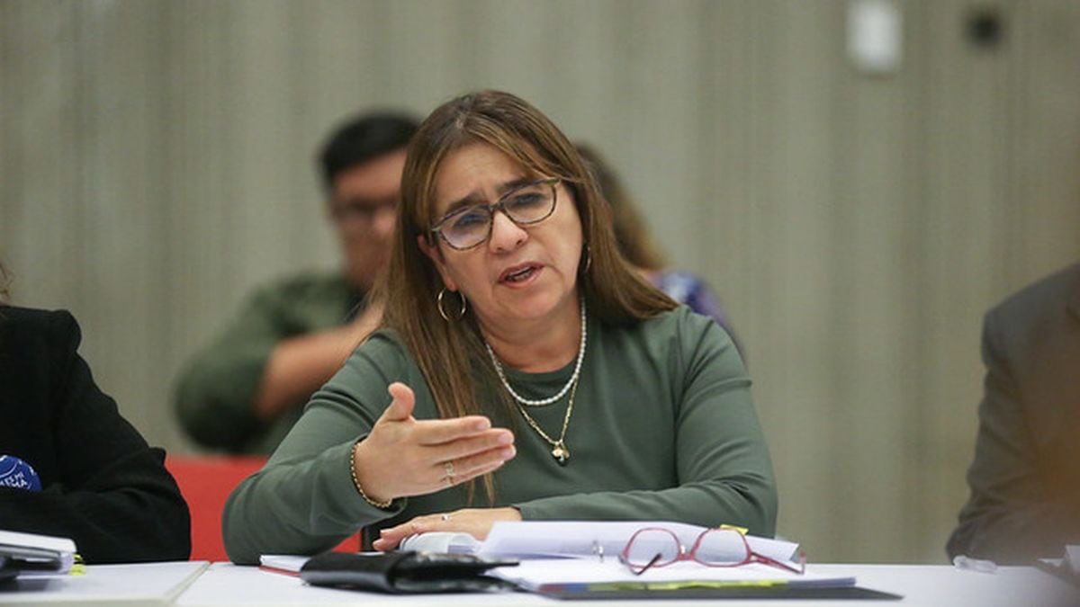 Miriam Ponce Vertiz ocuparía el cargo de ministra de Educación tras renuncia de Magnet Márquez. (Foto: Minedu)