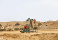 Perupetro se alista para convocatoria de dos nuevos lotes este año