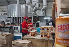 Los planes de Intradevco en plantas de desinfectantes e insecticidas en Lurín