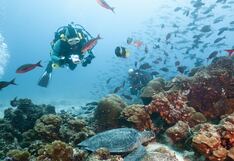 Ecuador logra histórico canje de deuda por conservación de Islas Galápagos, ¿de qué se trata?