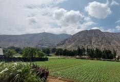 El 97% de los alimentos que se consumen en Lima Metropolitana proviene de regiones