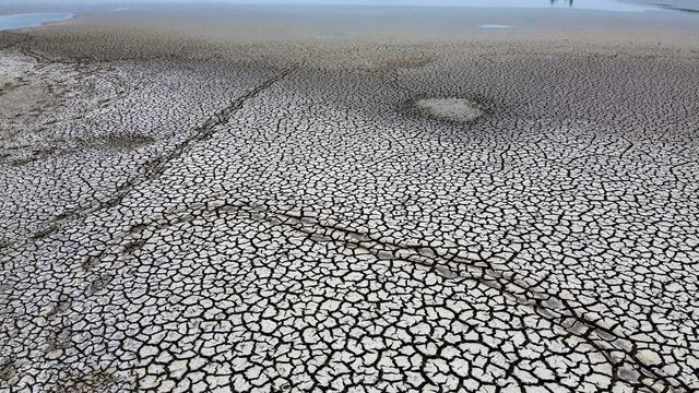 FAO: escasez de agua para 3,200 millones de personas es un desafío mundial