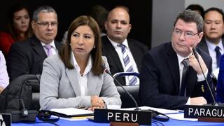 Perú presentó avances anticorrupción en Reunión de Expertos de la OEA