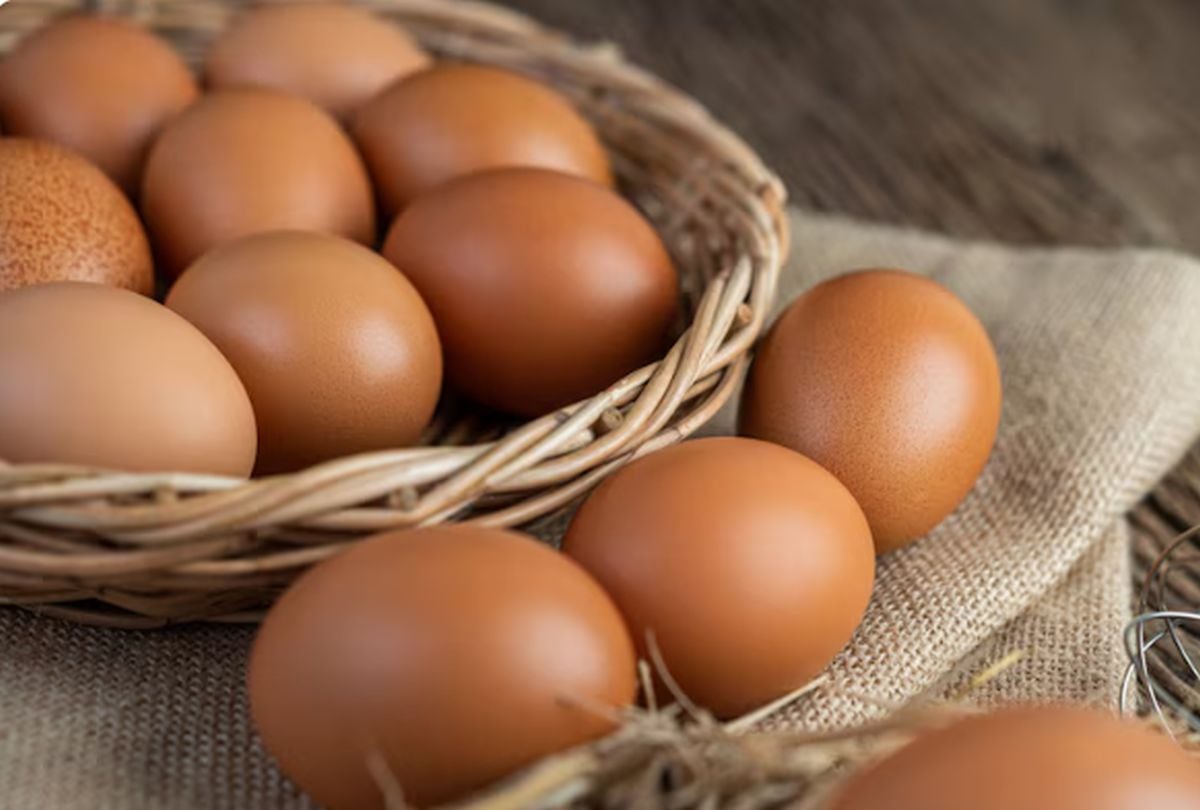 La propuesta legislativa que obligaría al etiquetado de los huevos también establece algunas exclusiones (foto: Freepik).