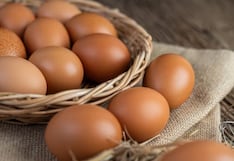 Obligarían a etiquetar huevos, ¿qué se informará a los consumidores en Perú?