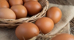 Obligarían a etiquetar huevos, ¿qué se informará a los consumidores en Perú?