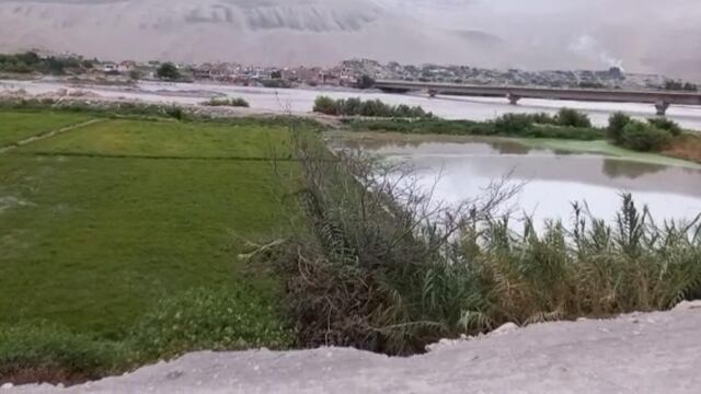 Desborde de río Ocoña afectó algunos cultivos de arroz en Camaná 
