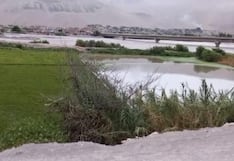 Desborde de río Ocoña afectó algunos cultivos de arroz en Camaná