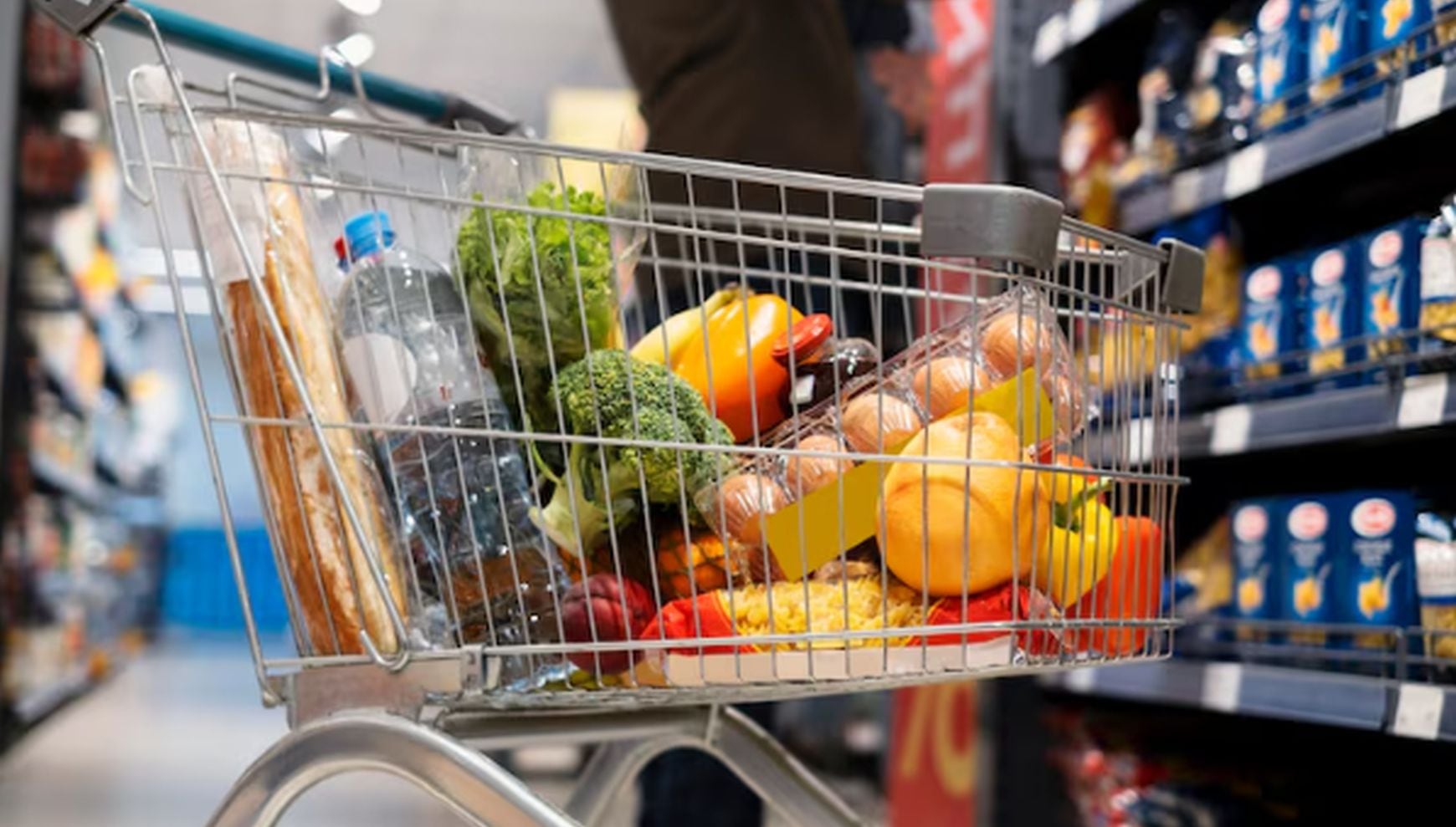 Atención, Florida pierde 22% de beneficiarios de SNAP: qué está provocando la caída