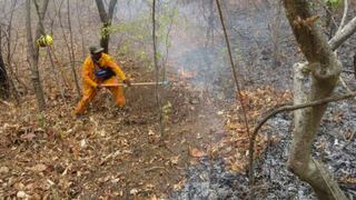 Perú reporta 128 incendios forestales en las últimas tres semanas