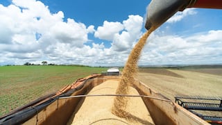 Por qué las normas de deforestación de la UE generan rechazo entre productores