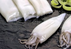 Produce: los planes para que flota nacional de pota opere fuera de 200 millas