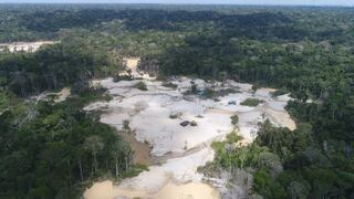 Falta de voluntad de Bolsonaro disparó deforestación en Amazonía, según varias ONG