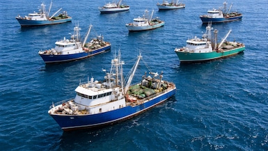 Las tres principales empresas del sector concentran cerca del 17% de las exportaciones pesqueras. (Foto: Chat GPT / Andina)