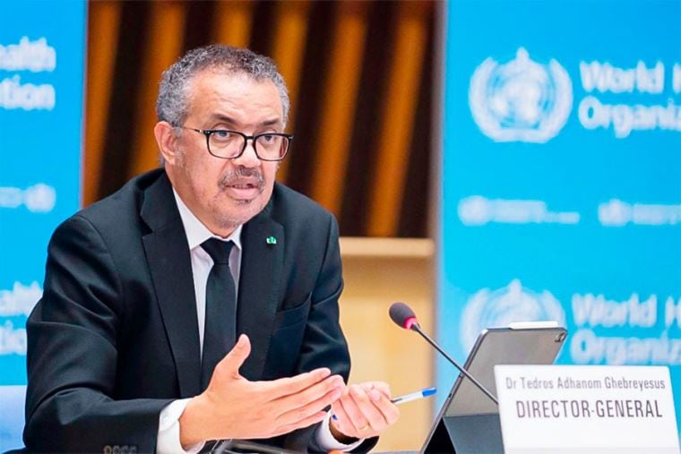 Tedros subrayó que menos del 1% de estos casos podrían conllevar la muerte de los enfermos de dengue, pero alertó del fuerte impacto que los casos están teniendo en el sistema sanitario peruano. (Foto: GOB)