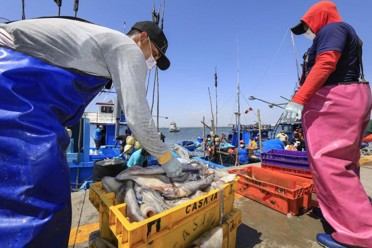 Las certificaciones sanitarias permitieron que cerca de 200 empresas peruanas exporten productos hidrobiológicos a los principales mercados internacionales. Foto: Produce.