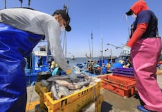 Perú consolida más de US$ 1,880 millones en exportaciones hidrobiológicas el último año