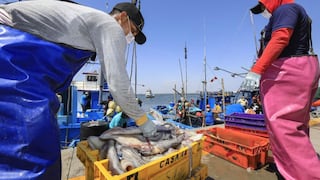 Perú consolida más de US$ 1,880 millones en exportaciones hidrobiológicas el último año