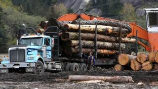 EE.UU. pide a Perú verificar tres envíos de madera del 2017 como parte de lucha contra tala ilegal