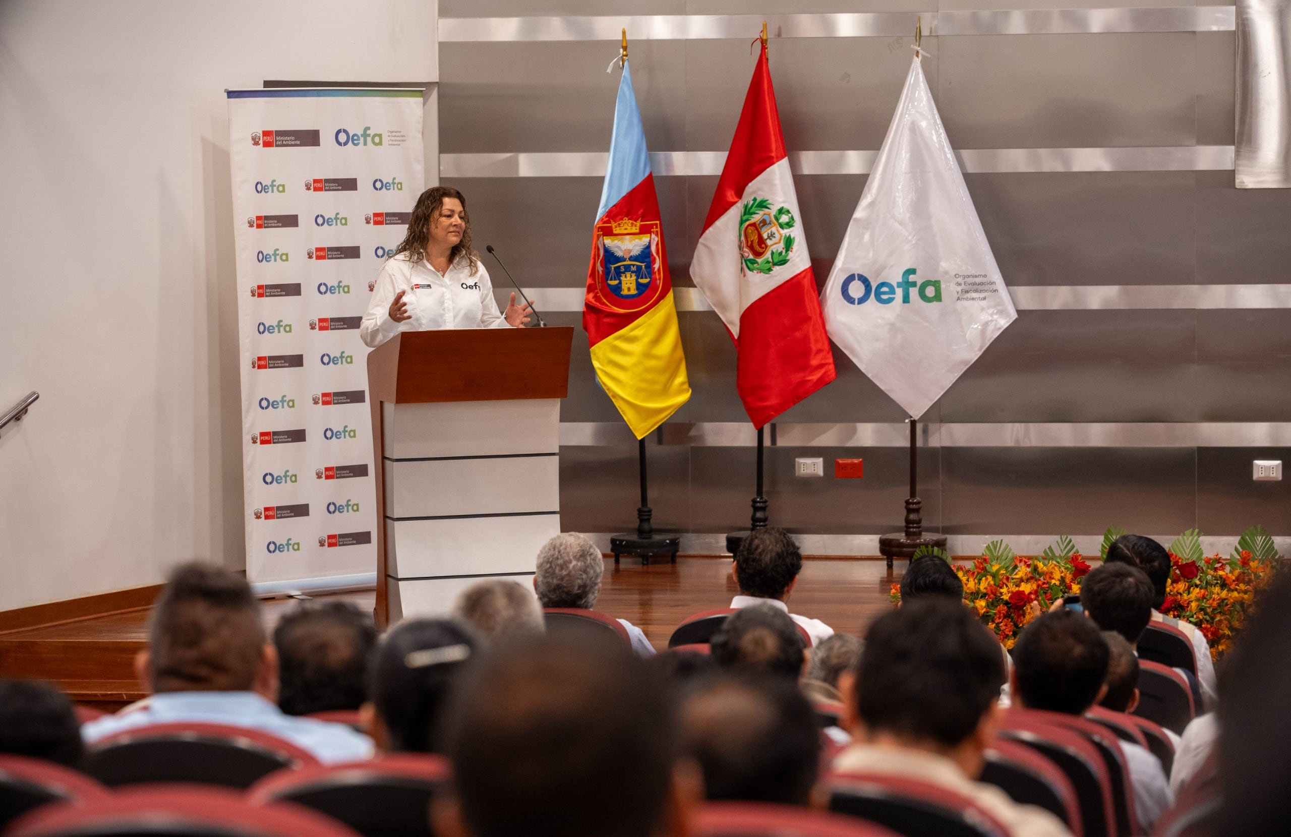 La presidenta del Consejo Directivo del OEFA, Joanna Fischer, señaló que la plataforma busca ayudar a anticipar riesgos. Foto: OEFA