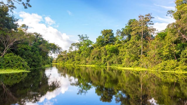 BID y Banco Mundial se unen para proteger el Amazonas y hacer resiliente al Caribe
