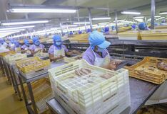 OEFA apunta a modificar reportes de plantas pesqueras, ¿qué incluye?