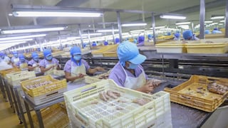 OEFA apunta a modificar reportes de plantas pesqueras, ¿qué incluye?