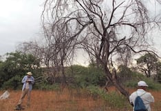 Radar contra la tala ilegal se expande de la Amazonía al bosque seco: el plan