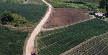 Segrafruit cuenta con campos de cultivos propios, pero también establece alianzas con
familias productoras. (ADEX)