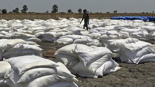FAO denuncia situación de hambruna sin precedentes en África