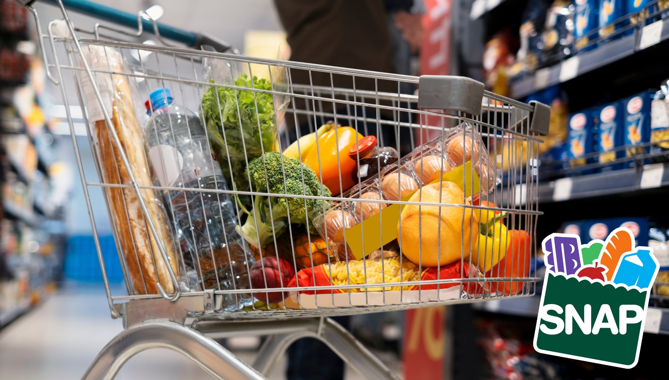 En un año, millones de familias en Estados Unidos perdieron el apoyo económico federal para comprar alimentos (Foto: Freepik / USDA)