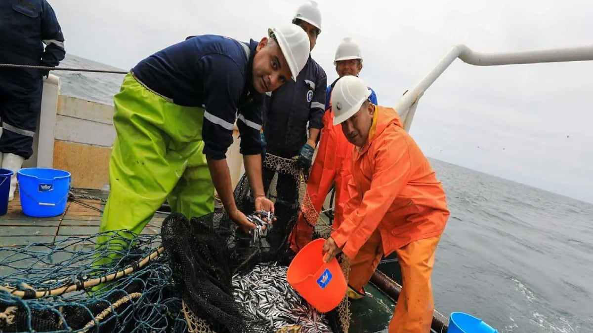 Produce emitió 19 medidas de ordenamiento pesquero para enfrentar El Niño