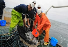 Exalmar entra en una nueva etapa tras sumar a Pesquera Centinela: ¿qué metas tiene el 2026?