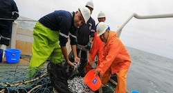 Exalmar entra en una nueva etapa tras sumar a Pesquera Centinela: ¿qué metas tiene el 2026?