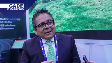Luis del Carpio, director ejecutivo de ProInversión