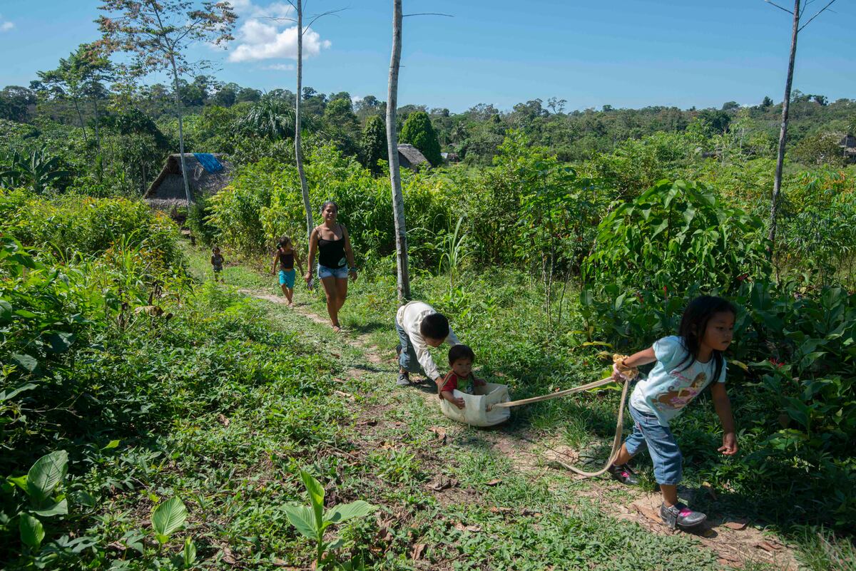Al menos 25,000 niños, niñas y adolescentes fueron afectados de forma directa por la emergencia climática a inicio de este 2023 en Perú. (Foto: Flor Ruiz/Referencial AFP)