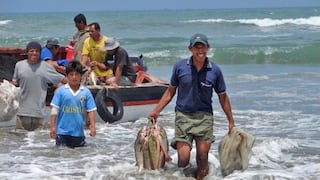 Pensión mínima de pescadores subirá a partir de setiembre