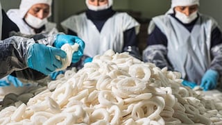 Productora de congelado evalúa su ingreso en conservas y harina: los planes de Proanco