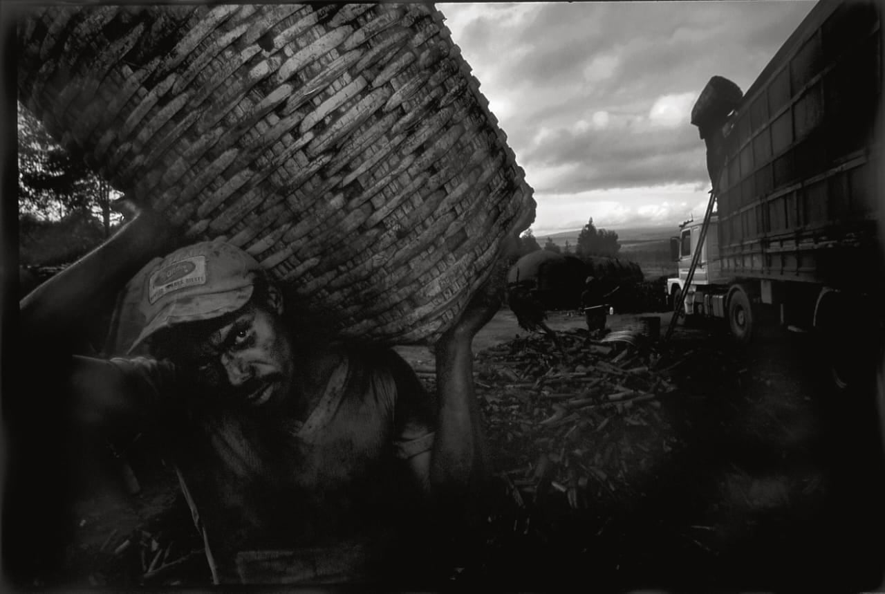 Las regiones Callao, Puno, Loreto y Lima son las que reportaron la mayor cantidad de casos de trabajo forzoso. Foto: MTPE
