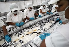 Economía crece 3.54% en enero, pero estos 3 sectores clave “tropiezan”