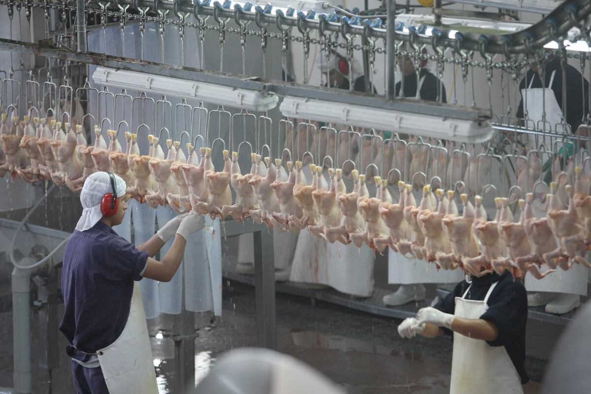 La actividad industrial es de las más golpeadas por la recesión económica.