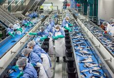 Venta de Copeinca: El perfil de su comprador canadiense y la situación del mercado local