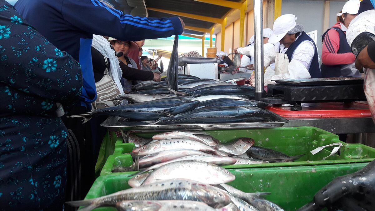 Consumo de pescado en Perú. (Foto: GEC)
