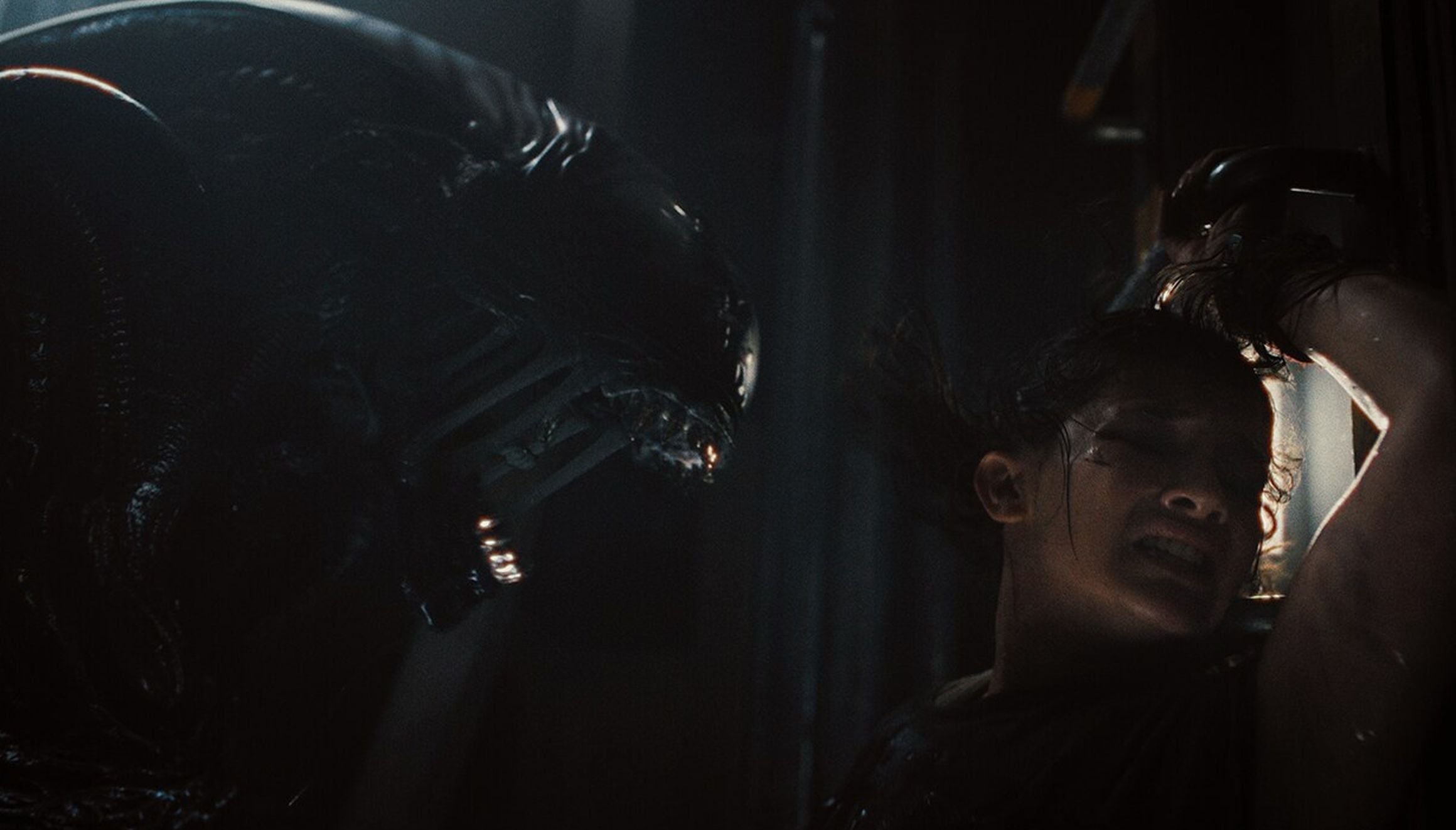 "Alien: Romulus" fue una de las películas de terror más taquilleras. Se estrenó en 2024 (Foto: 20th Century Studios)