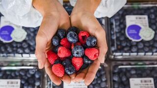 Venta de berries en supermercados al alza: Hortifrut anuncia nuevas presentaciones 