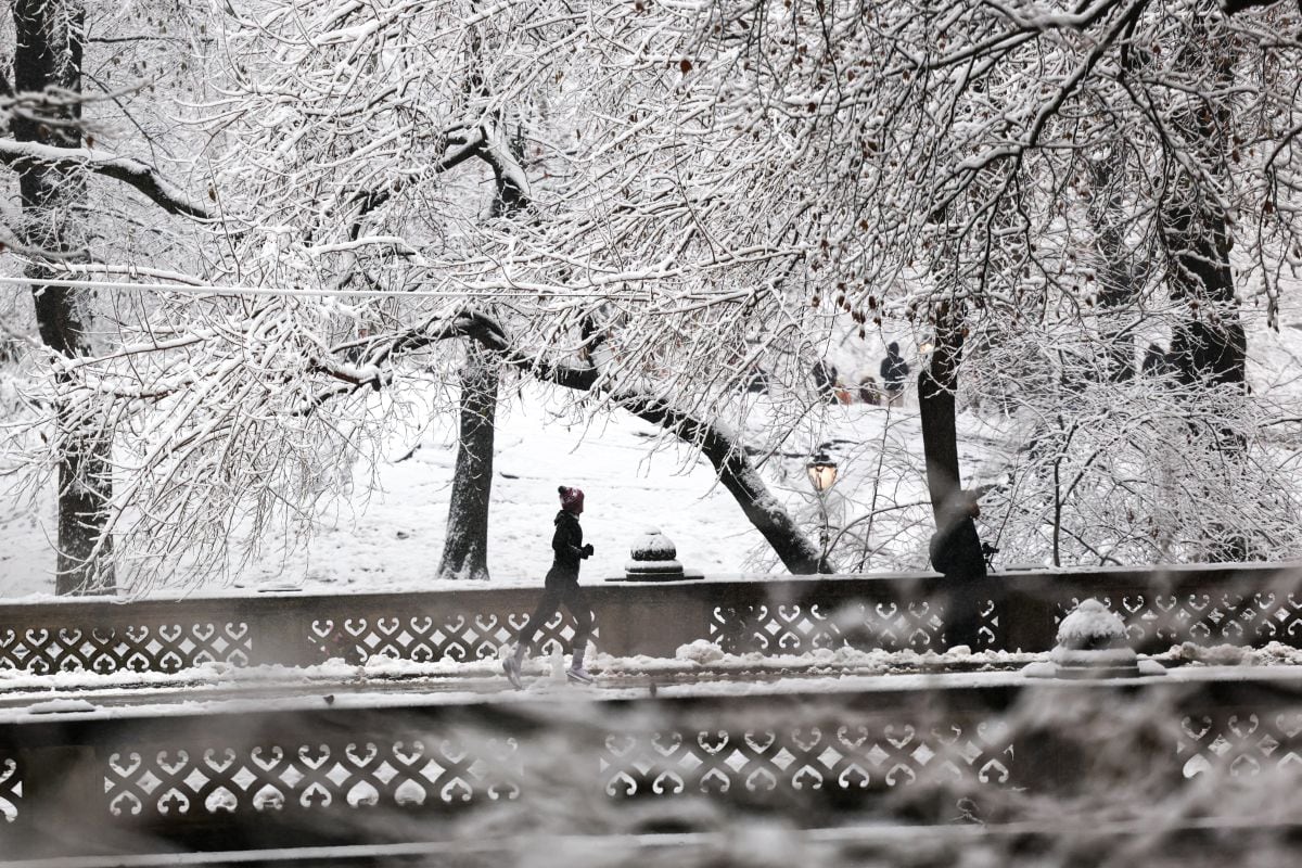 El Central Park en Manhattan se mantiene cubierto de nieve por las gélidas temperaturas. (Foto: CHARLY TRIBALLEAU / AFP)