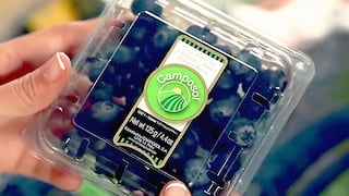 Camposol estrena nombre en China y abre la temporada de arándanos