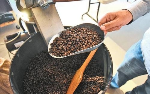 Los productores y exportadores de café afirman que no se espera un nuevo récord para las exportaciones cafeteras peruanas no solo por el precio sino por una producción menor. (Imagen: Andina)